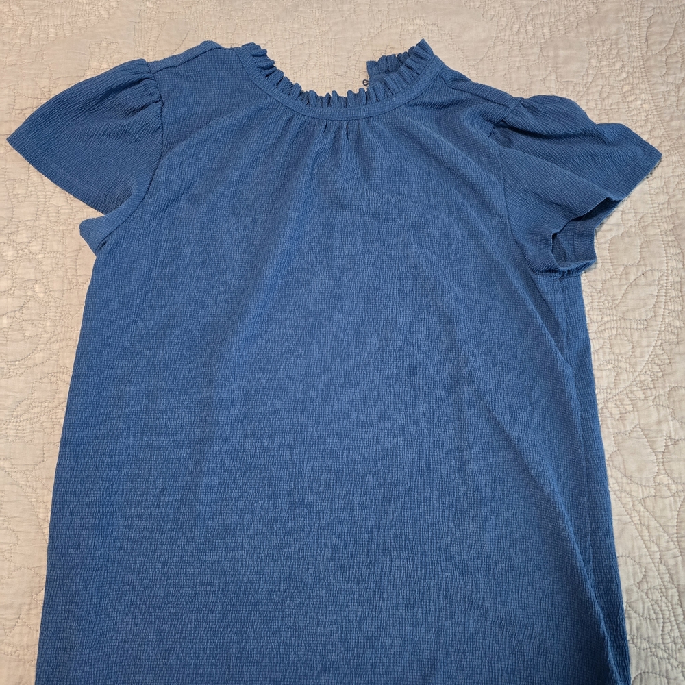 Ann Taylor Factory Blue Short Sleeve Top